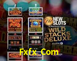 APP oficial da Fxfx Com para mobile